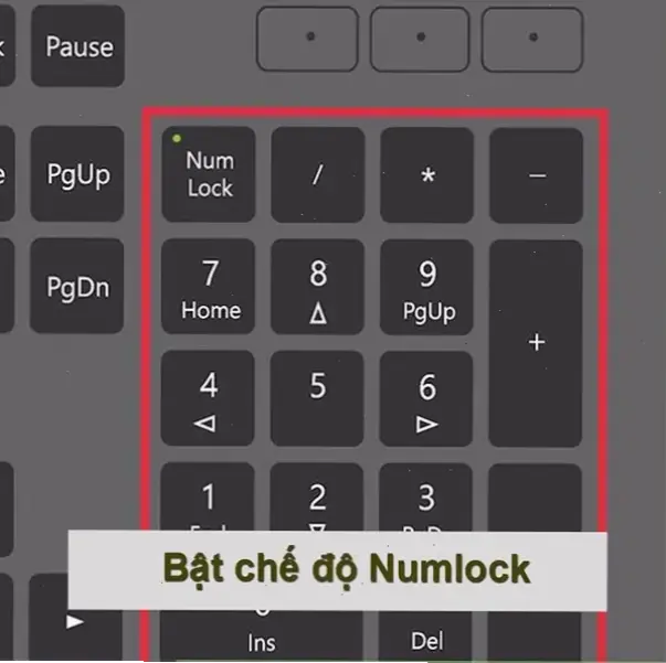 Nguyên Nhân Phổ Biến Khi Không Gõ Được Số Trên Bàn Phím Laptop