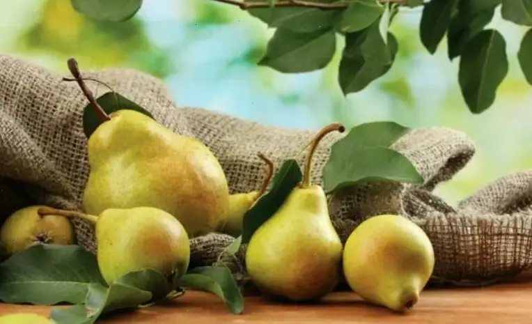 Nguyên nhân và tác động của suy thận