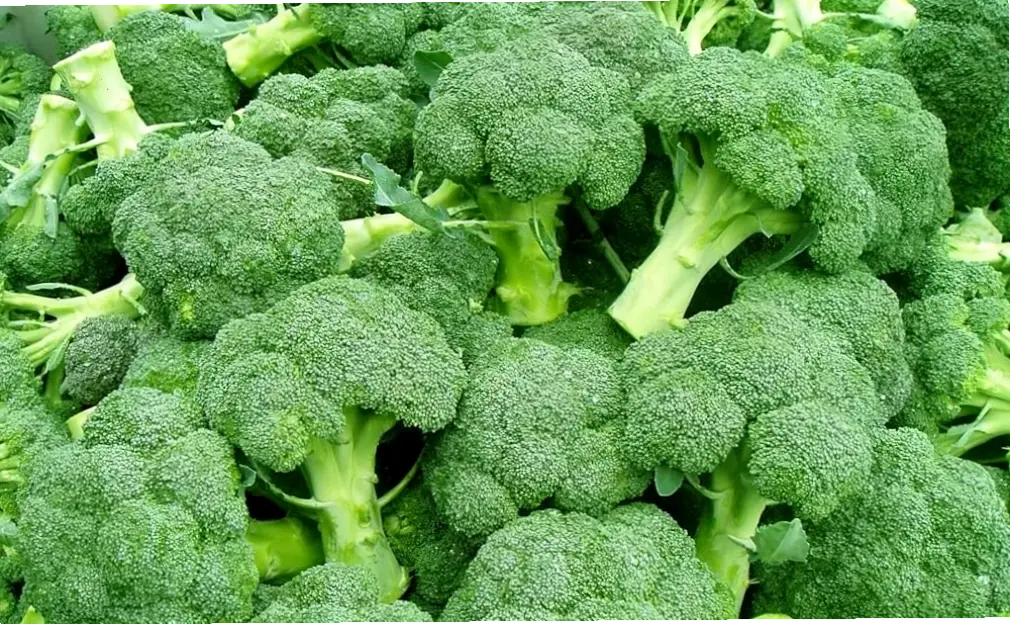 Nguyên nhân và triệu chứng của bệnh trĩ