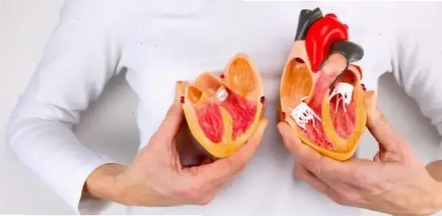 Nguyên nhân và triệu chứng suy dinh dưỡng