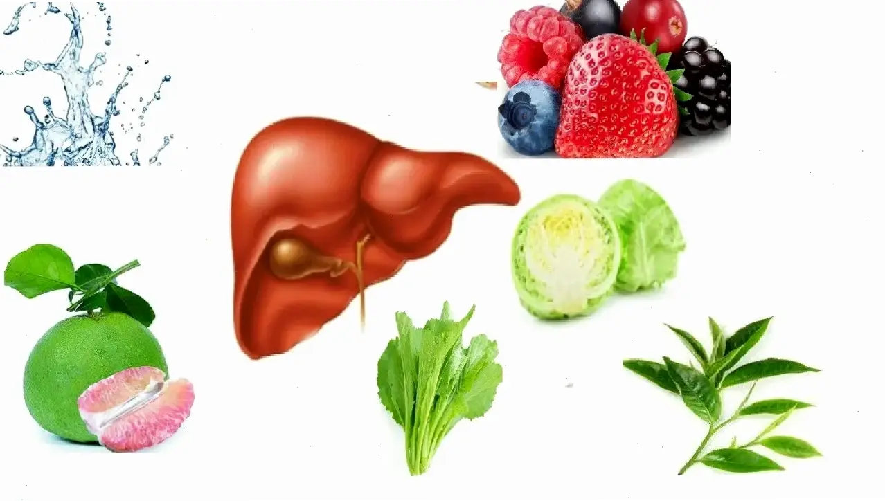 Nguyên tắc dinh dưỡng cơ bản