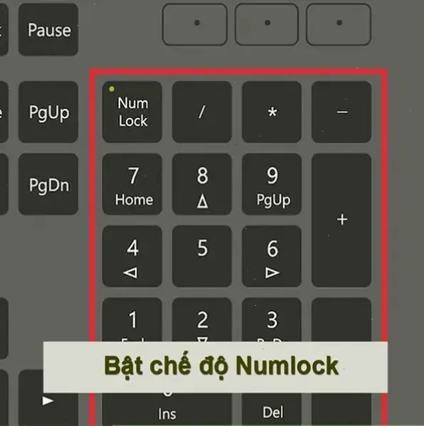 Những Lý Do Bất Ngờ Khiến Bàn Phím Máy Tính Bàn Không Gõ Được