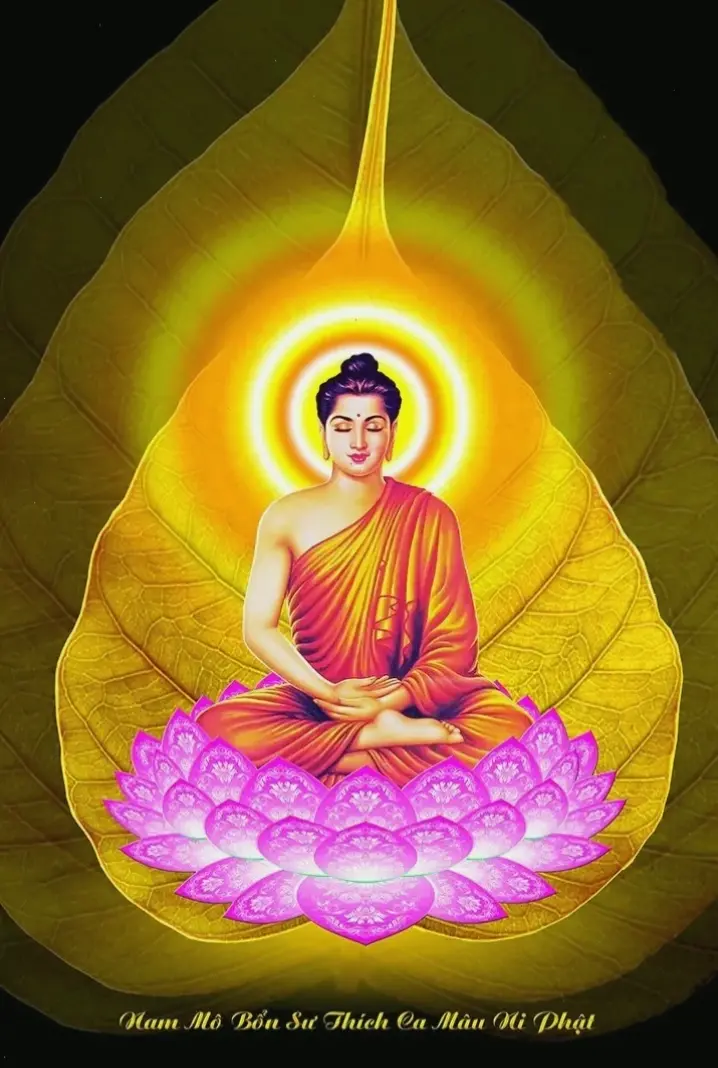 Phật Thích Ca thiền ánh vàng huyền ảo, hỗ trợ bạn đạt trạng thái thiền định sâu và bình yên tuyệt đối.
