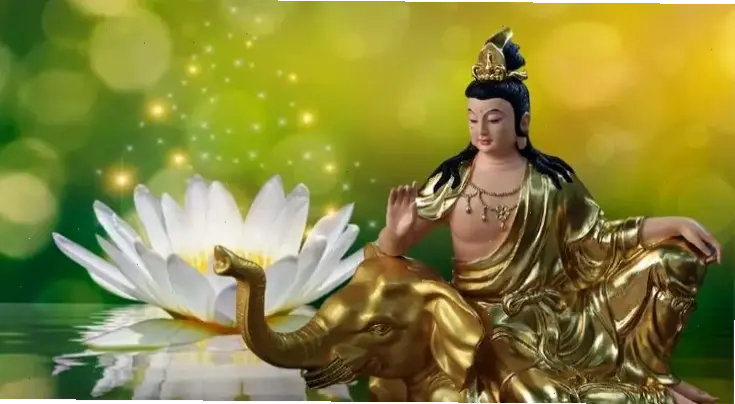 Phổ Hiền chùa cổ kính, nơi linh thiêng hội tụ, giúp bạn tìm thấy thanh thản và giác ngộ thực sự.