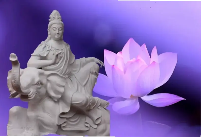 Phổ Hiền tối giản, thiết kế đơn sơ nhưng sâu sắc, giúp bạn tập trung vào bản chất tâm linh thật sự.