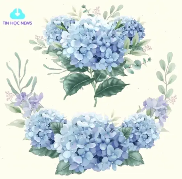 Sử dụng hoa cẩm tú cầu để trang trí, mang lại sự tươi mới và sang trọng cho không gian.