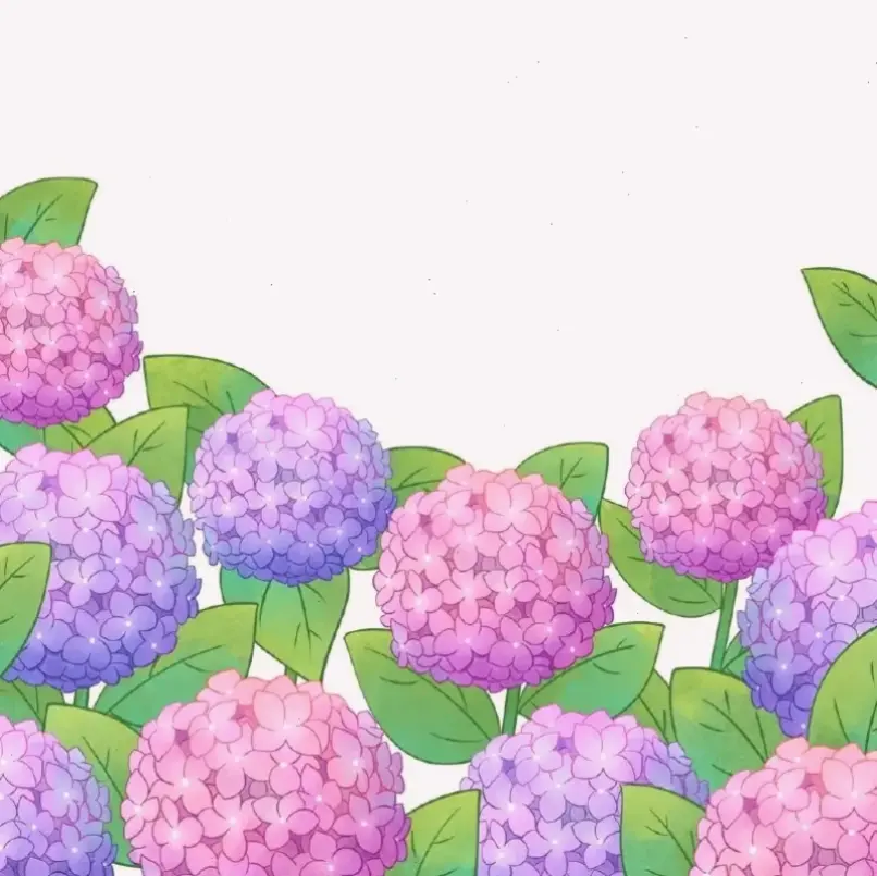 Sử dụng hoa cẩm tú cầu để trang trí nhà cửa, mang lại sự tươi mới và sang trọng.