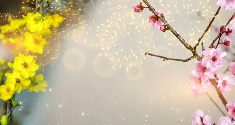 Sử dụng hoa đỗ mai để trang trí, biến mọi góc nhà thành khu vườn rực rỡ và cuốn hút.