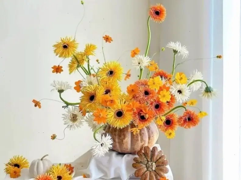 Sử dụng hoa đồng tiền để trang trí sự kiện, tạo không gian ấn tượng và đầy màu sắc.