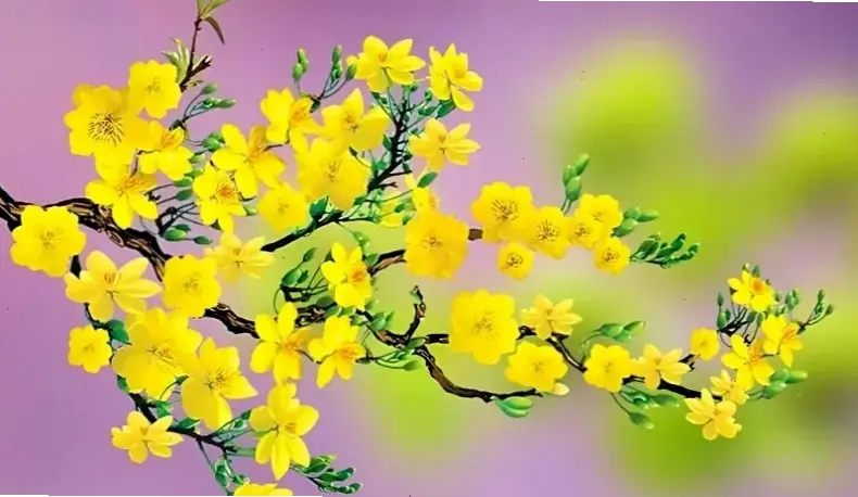 Sử dụng hoa mai trang trí nhà, tạo không gian sống động, tươi mới và tràn đầy năng lượng tích cực.