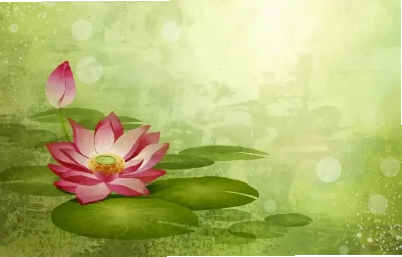 Sử dụng hoa sen đồng quê để trang trí, biến không gian thành nơi thư giãn đầy màu sắc và ý nghĩa.