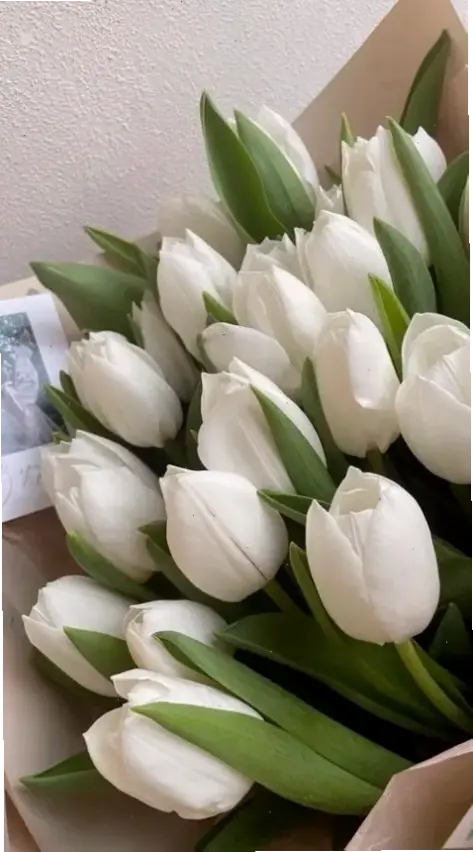 Sử dụng hoa tulip nở rộ để trang trí, mang lại sự tươi mát và sang trọng cho không gian.