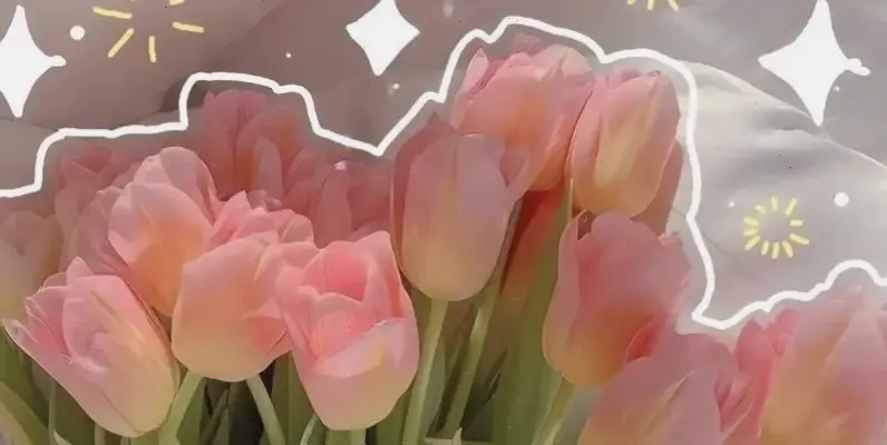 Sử dụng hoa tulip trang trí Valentine, tạo nên không gian đầy màu sắc và tình yêu rực rỡ.