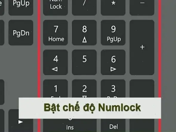 Sự Thật Bất Ngờ Về Bàn Phím Laptop