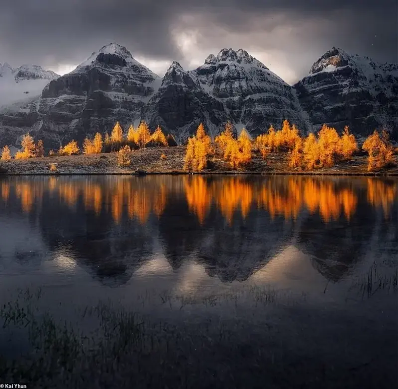 Sương mù bao phủ Banff, tạo nên bức tranh huyền bí và quyến rũ của thiên nhiên.