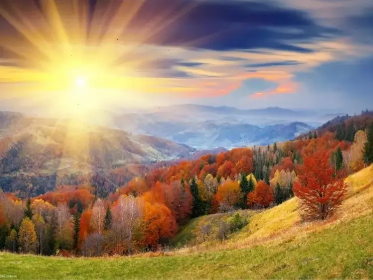 Sương mù bao phủ thiên nhiên, tạo nên bức tranh huyền bí và thơ mộng đầy cuốn hút.