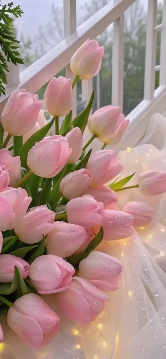 Tặng hoa tulip cho người yêu, cách thể hiện tình cảm chân thành nhất trong ngày lễ tình nhân.