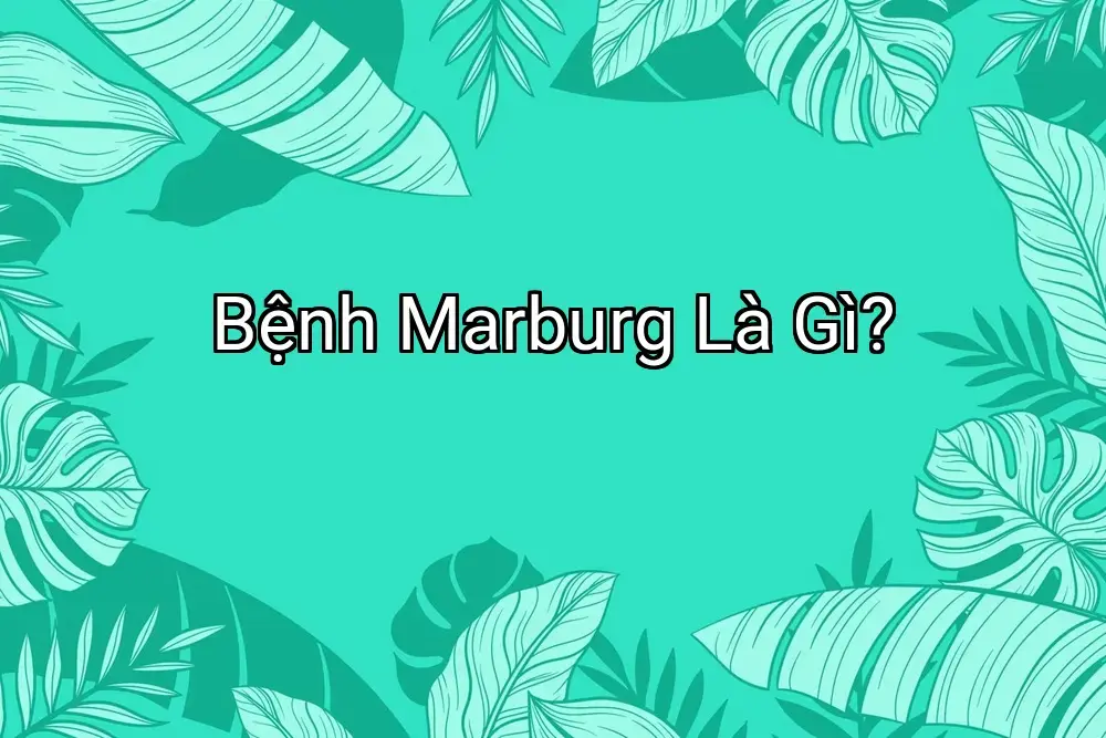 Bệnh Marburg Là Gì?