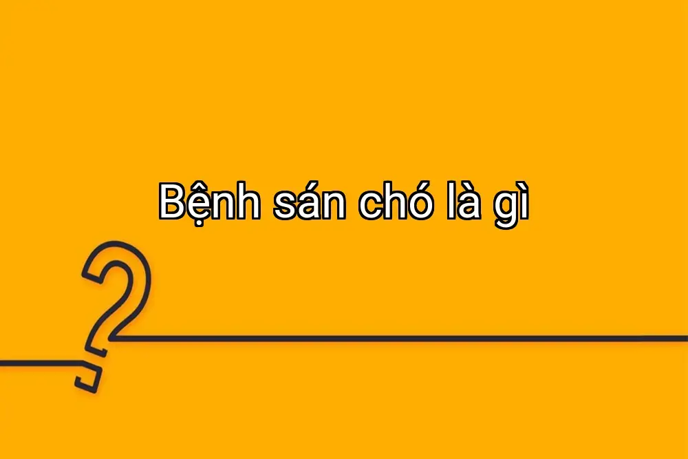 Bệnh sán chó là gì