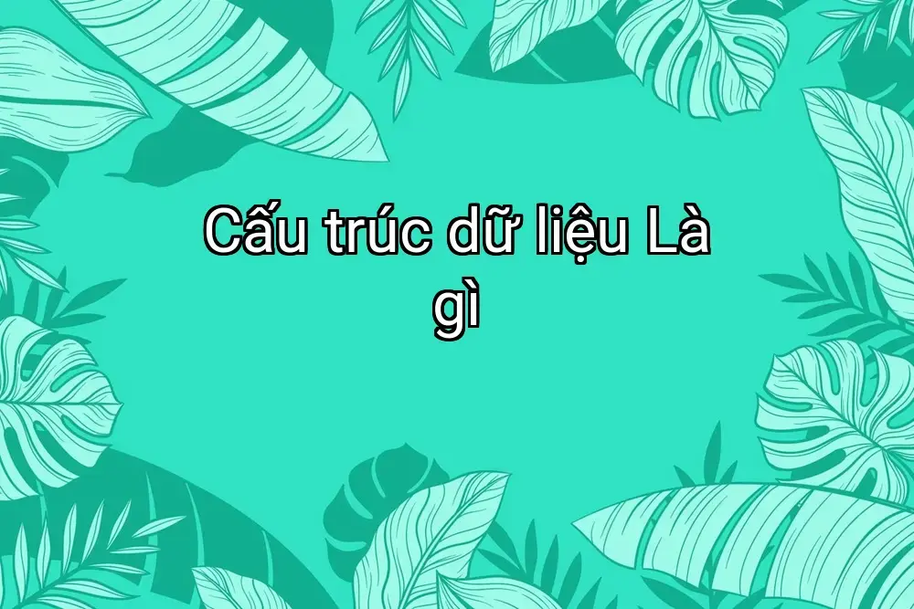 Cấu trúc dữ liệu Là gì