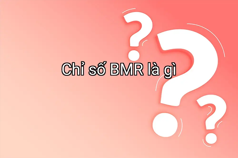 Chỉ số BMR là gì