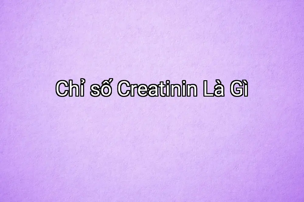 Chỉ số Creatinin Là Gì