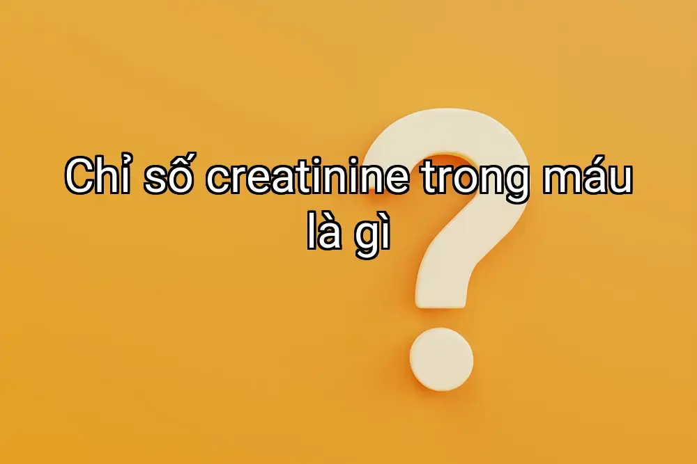 Chỉ số creatinine trong máu là gì