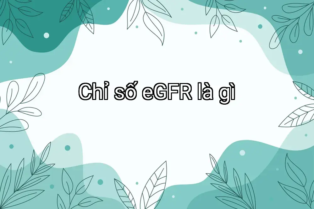 Chỉ số eGFR là gì