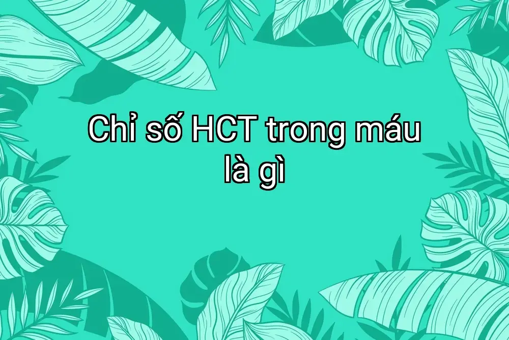 Chỉ số HCT trong máu là gì
