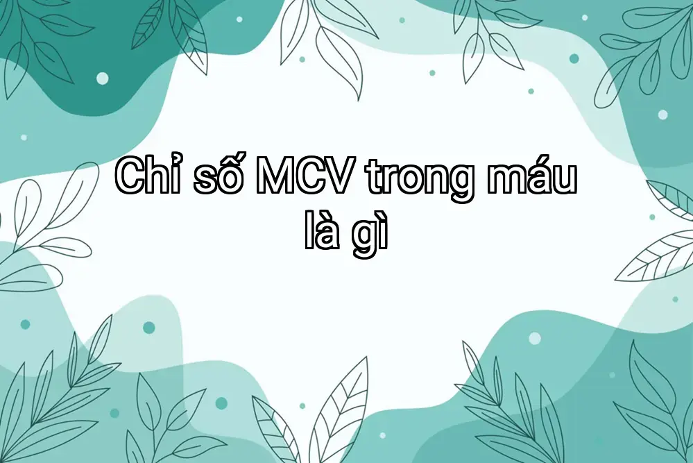 Chỉ số MCV trong máu là gì