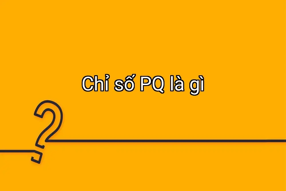 Chỉ số PQ là gì