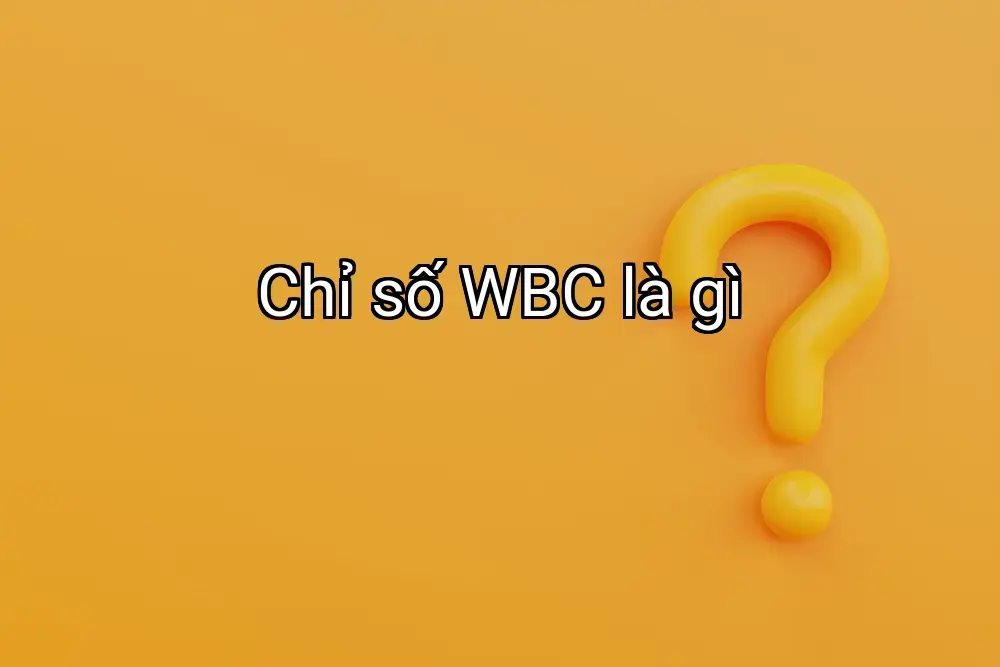 Chỉ số WBC là gì