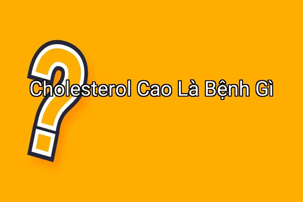 Cholesterol Cao Là Bệnh Gì