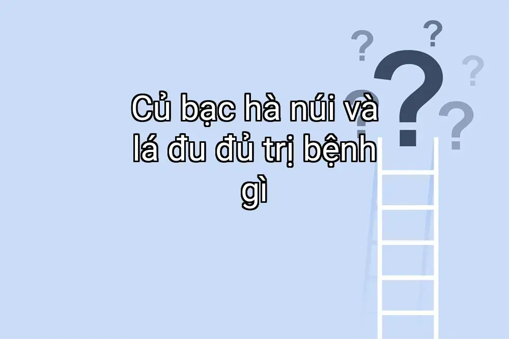 Củ bạc hà núi và lá đu đủ trị bệnh gì