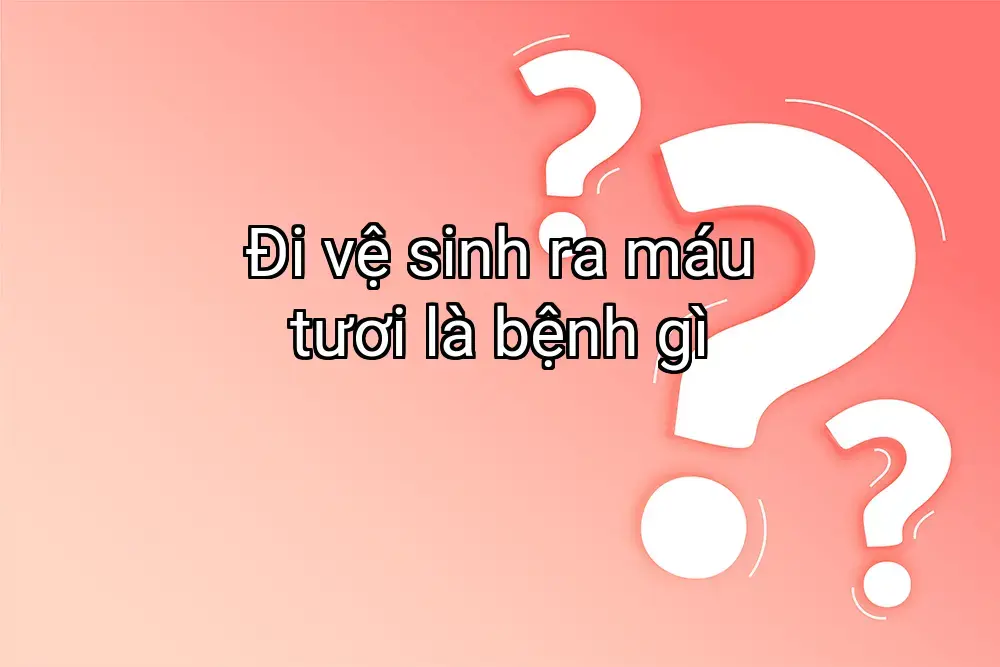 Đi vệ sinh ra máu tươi là bệnh gì