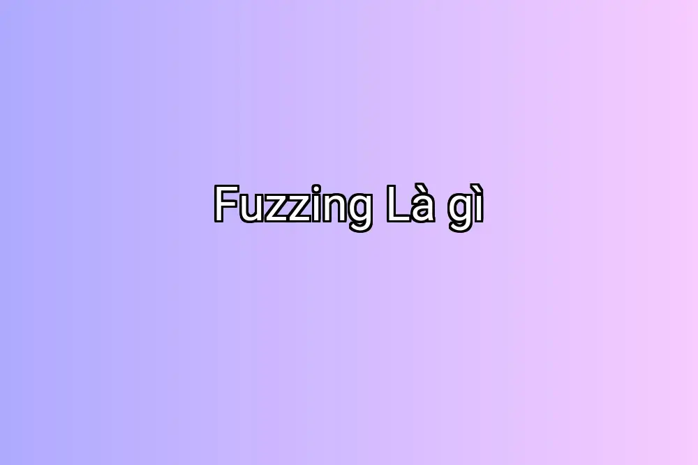 Fuzzing Là gì