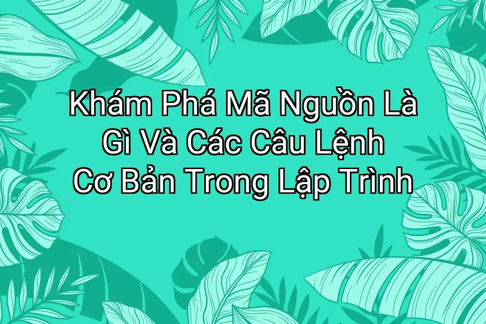 Khám Phá Mã Nguồn Là Gì Và Các Câu Lệnh Cơ Bản Trong Lập Trình