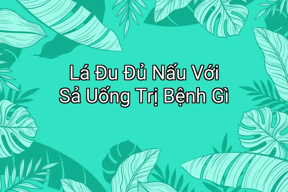 Lá Đu Đủ Nấu Với Sả Uống Trị Bệnh Gì