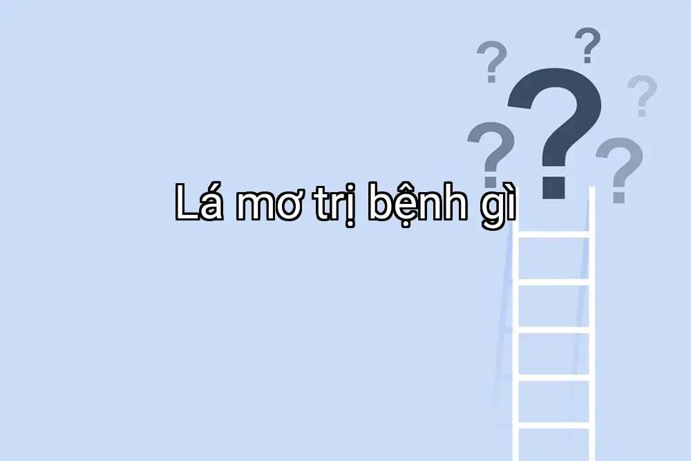 Lá mơ trị bệnh gì