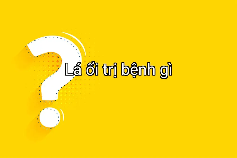 Lá ổi trị bệnh gì