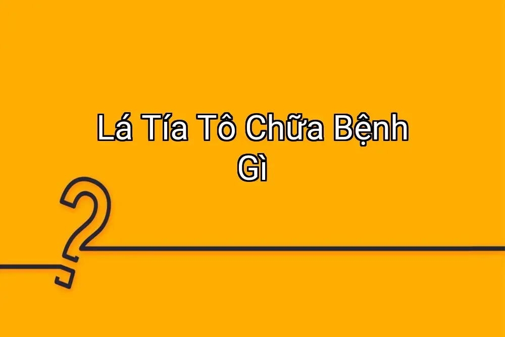 Lá Tía Tô Chữa Bệnh Gì