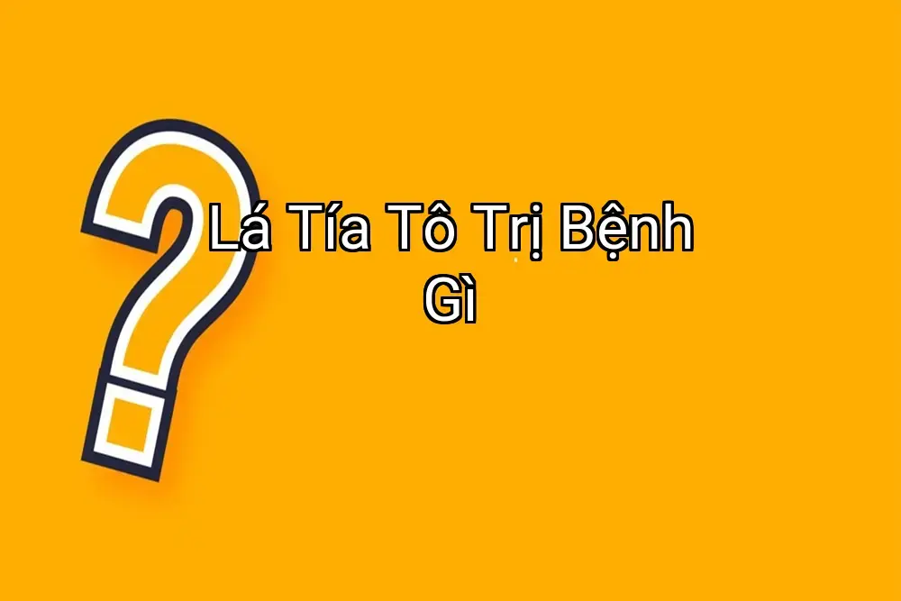Lá Tía Tô Trị Bệnh Gì