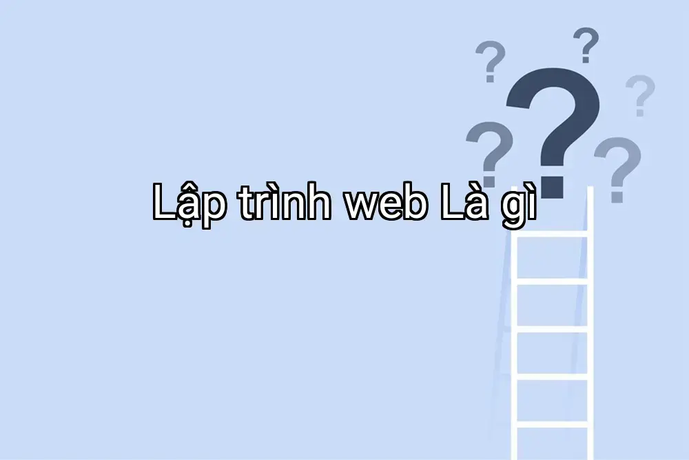 Lập trình web Là gì
