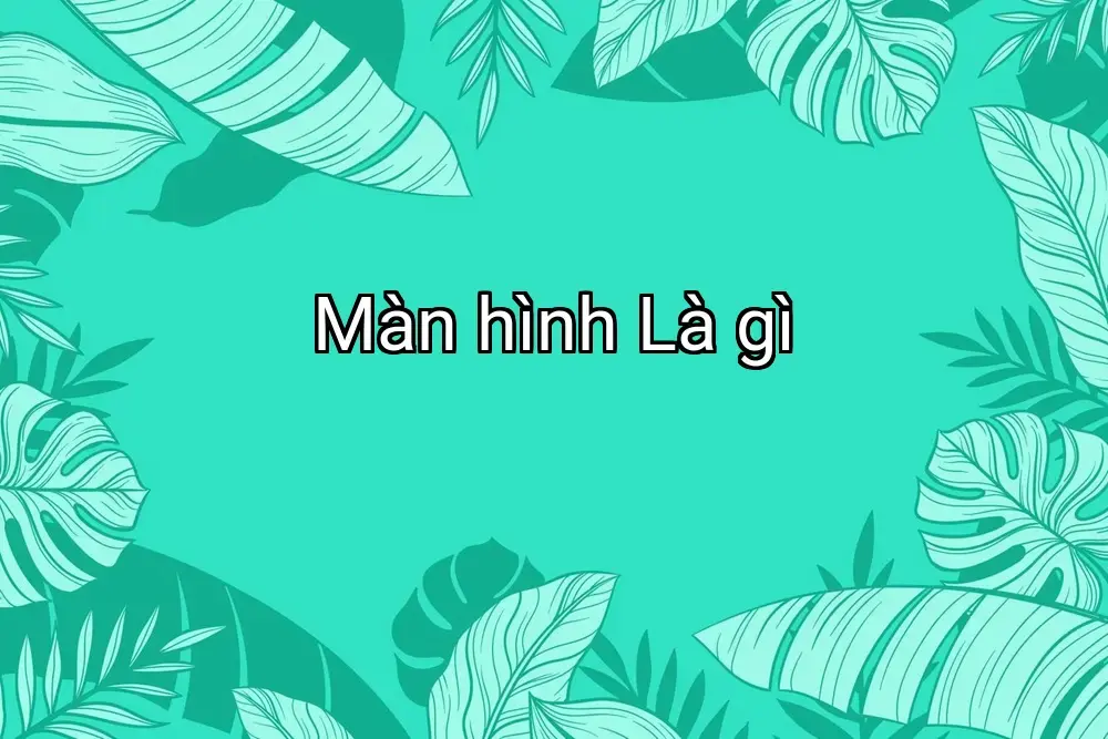 Màn hình Là gì