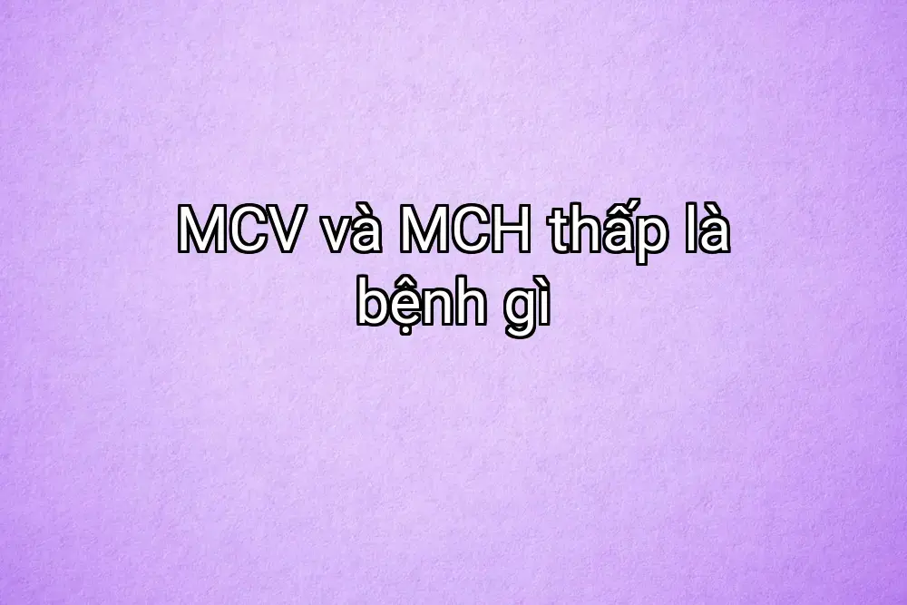 MCV và MCH thấp là bệnh gì