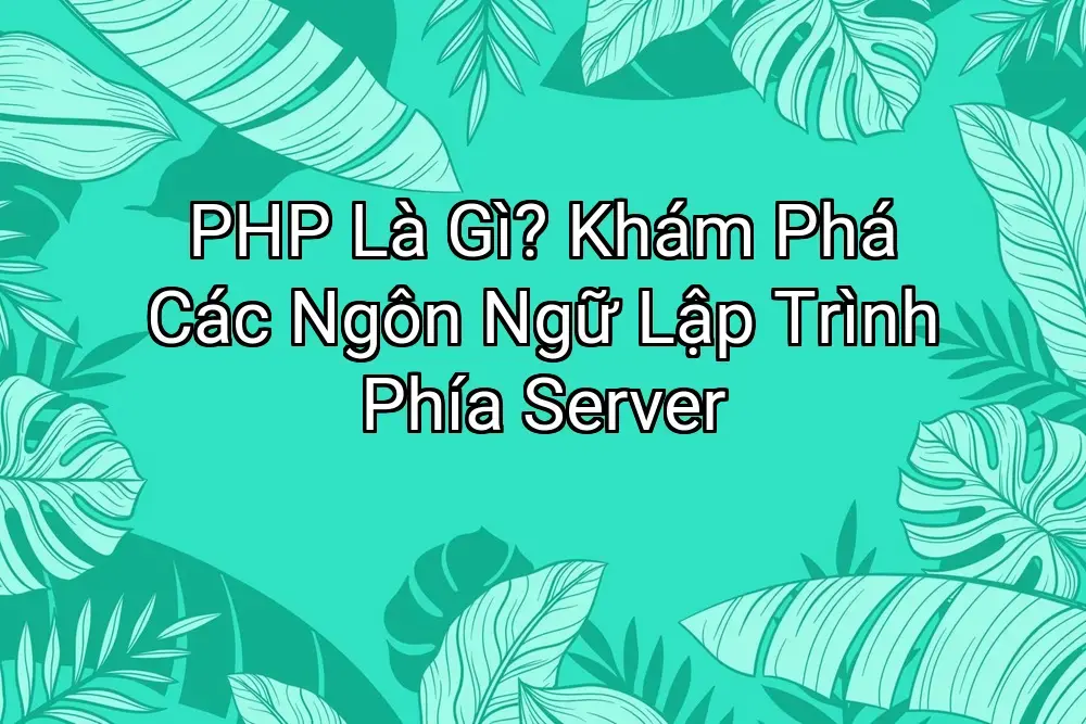 PHP Là Gì? Khám Phá Các Ngôn Ngữ Lập Trình Phía Server
