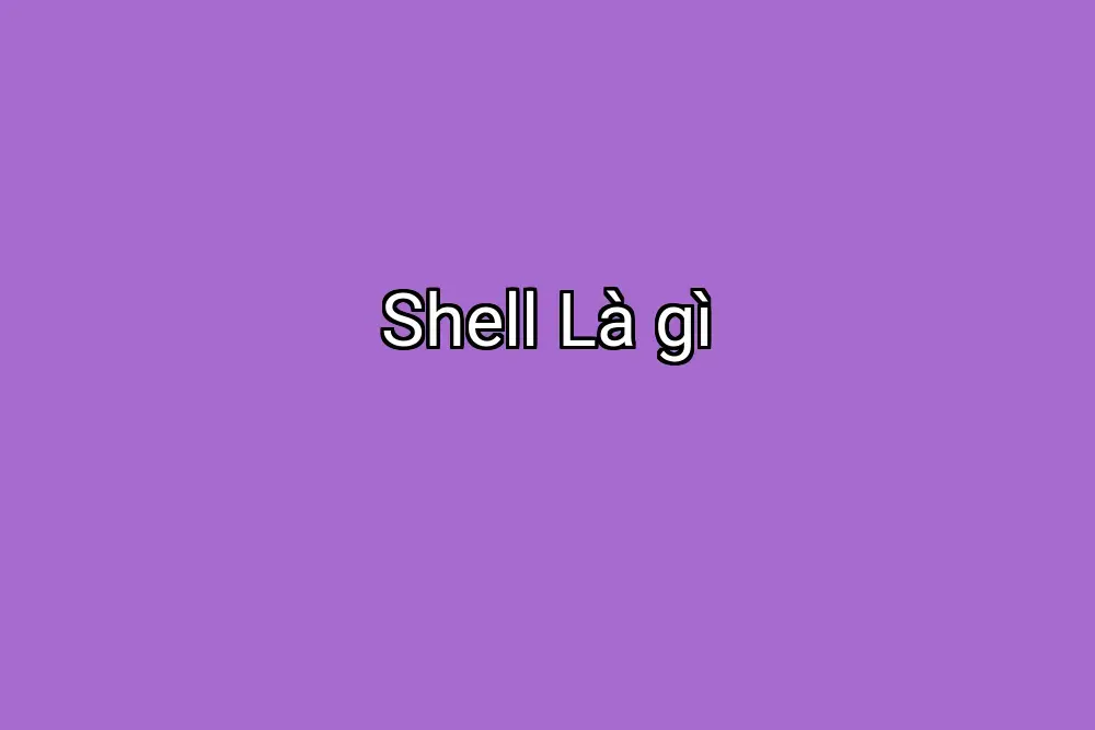 Shell Là gì