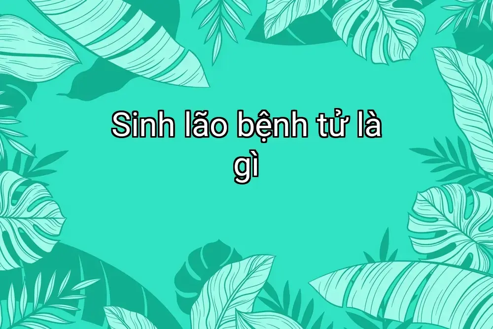 Sinh lão bệnh tử là gì