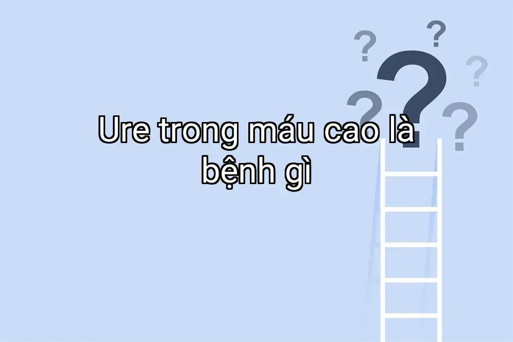 Ure trong máu cao là bệnh gì