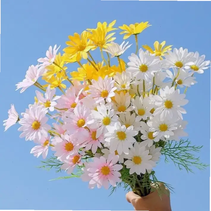 Thêm chút huyền bí và màu sắc độc đáo với hình nền hoa cúc tím, những thiết kế sáng tạo sẽ làm cho màn hình của bạn trở nên nổi bật và đầy sức sống!